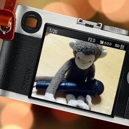 エンダア対決 Will Always Love You ショートver Song Lyrics And Music By Whitney Houston 映画ボディーガード Arranged By Maki01maki On Smule Social Singing App