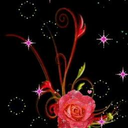 Goyang Lagi Bergek Lagu Aceh Dis Song Lyrics And Music By Bergek Arranged By Lanamusical25 On Smule Social Singing App