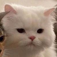 Super Stream Is Infinite Stratos Song Lyrics And Music By Null Arranged By Shiro Ka On Smule Social Singing App