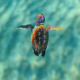 キセキ 誕生日ver Greeeen Song Lyrics And Music By Greeeen Happy Birthday Ver Arranged By Miyumiaw On Smule Social Singing App