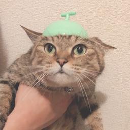 涙では消せない焔 Song Lyrics And Music By Sound Horizon Arranged By Kotoko Chan On Smule Social Singing App 涙では消せない焔 Song Lyrics And Music By Sound Horizon Arranged By Kotoko Chan On Smule Social Singing App