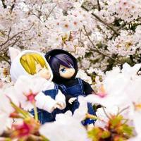 アヤナギ ショウ タイム Ayanagi Show Time Song Lyrics And Music By Starmyu Arranged By Mizushimaran On Smule Social Singing App