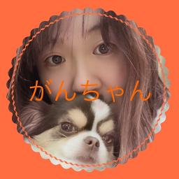 まっててごらん ヨーデル入り アルプスの少女ハイジ Song Lyrics And Music By 大杉久美子 ネリー シュワルツ Arranged By Unagisan On Smule Social Singing App