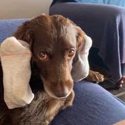 C Mon Marianne Stronger Song Lyrics And Music By Strange Magic Ost Arranged By Saftabi On Smule Social Singing App