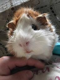 I To U パート分け Song Lyrics And Music By 関ジャニ Arranged By Saya K On Smule Social Singing App