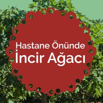 hastane onunde incir agaci song lyrics and music by nida tufekci arranged by bahadrakkoyun1 on smule social singing app