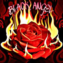 Bunga Bunga Cinta Song Lyrics And Music By Misha Omar Arranged By Black Angel On Smule Social Singing App