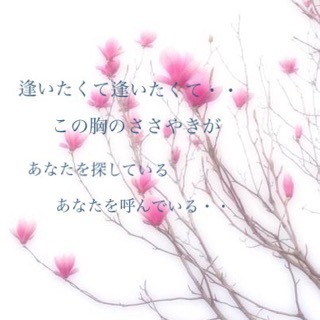 木蓮の涙 Acoustic Song Lyrics And Music By スターダスト レビュー Arranged By Kaoru 405 On Smule Social Singing App