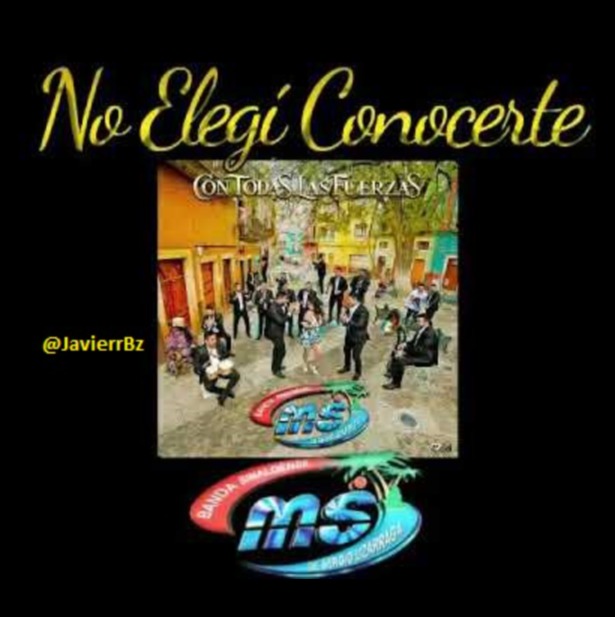 No Elegi Conocerte ✌️? - Song Lyrics and Music by Banda Ms arranged by  JavierrBz on Smule Social Singing app