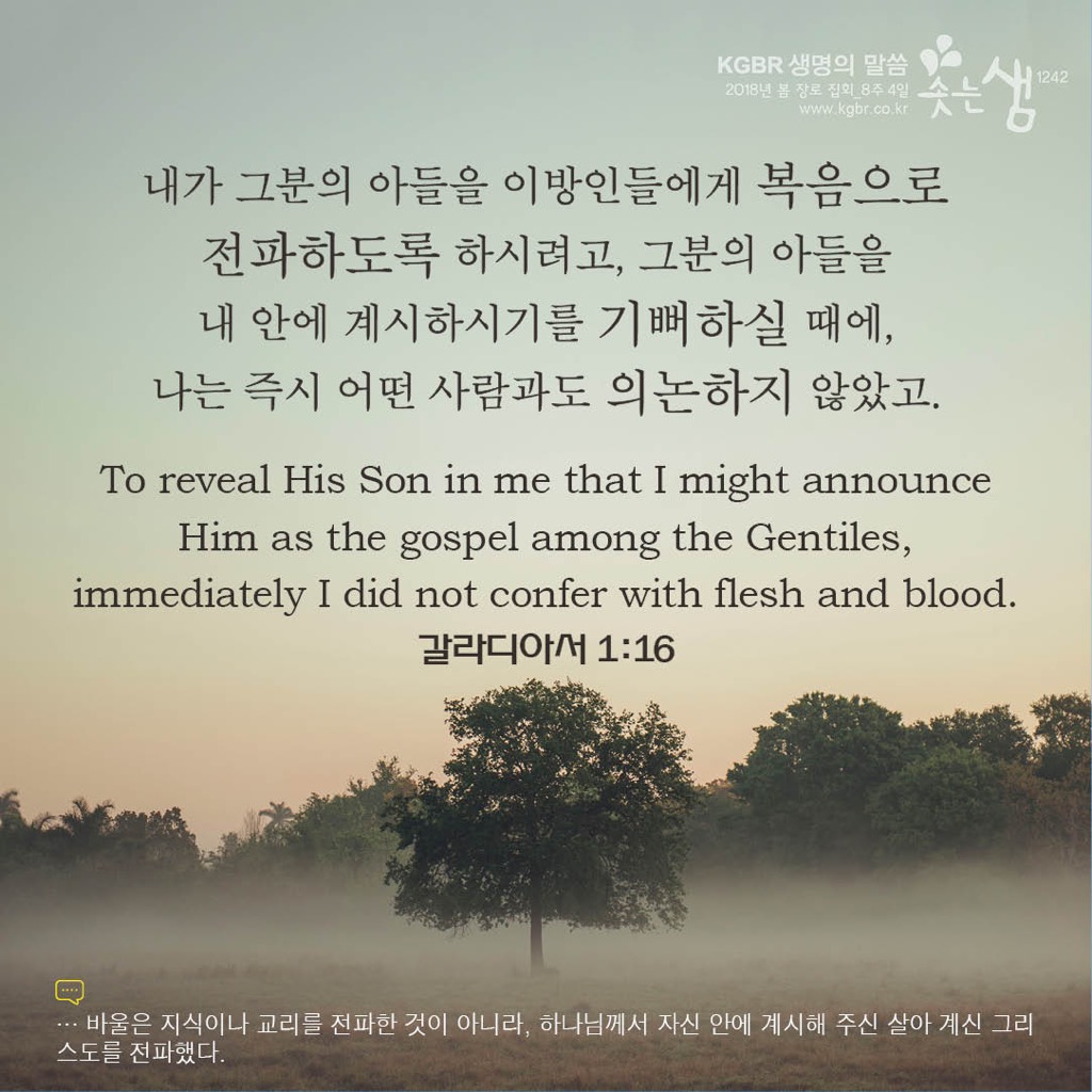 나비효과 (Butterfly Effect) Song Lyrics and Music by 신승훈 (shin, Seung